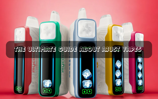 Everything You Need to Know About Adjust Vape: Features, Flavors, and More - Flying Vape