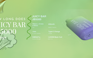 How Long Does a Juicy Bar JB5000 Really Last?