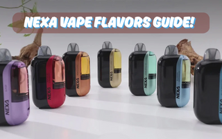 Flavor Showdown: Top 7 Nexa Vape Flavors You Need to Try Today - Flying Vape