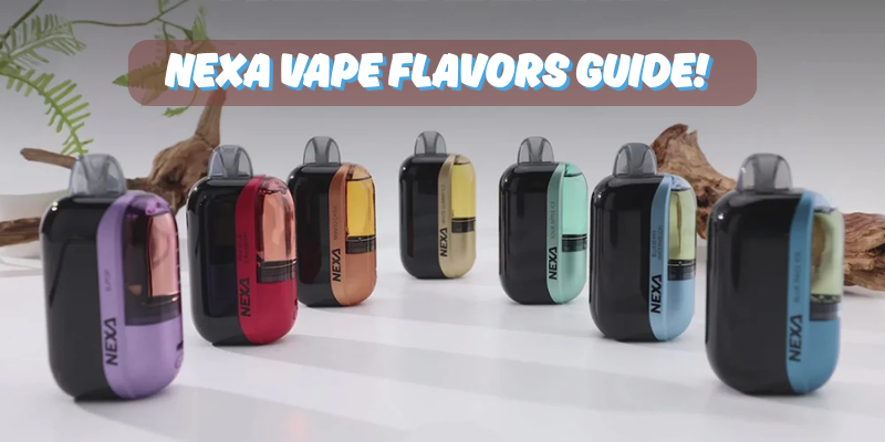 Flavor Showdown: Top 7 Nexa Vape Flavors You Need to Try Today Flavor Showdown: Top 7 Nexa Vape Flavors You Need to Try Today