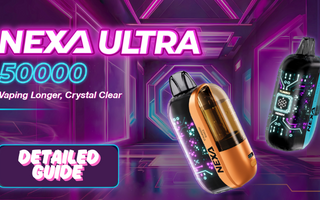 Everything You Need To Know Nexa Before You Buy Vape In The USA - Flying Vape