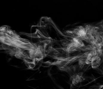 The Best Dozo Disposable Vapes of 2024