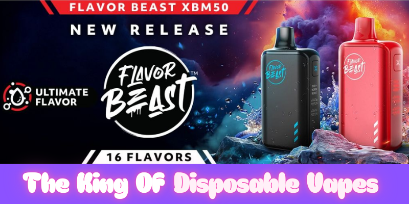 Flavor Beast 50K Vape Review  The King of Disposable Vapes?