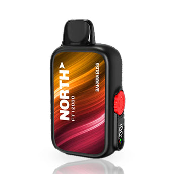 NORTH FT12000 DISPOSABLE VAPE - 12000 PUFFS
