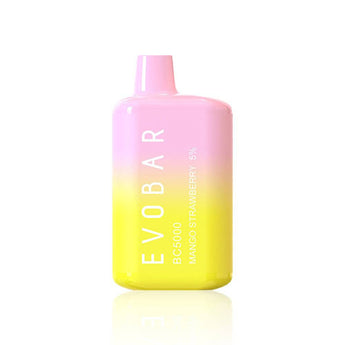 EVO BAR DISPOSABLE VAPE - 5000 PUFFS