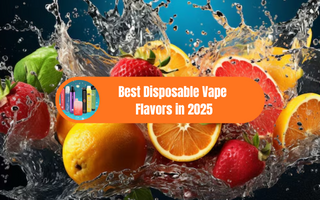 From Blue Razz to Mocha: Best Disposable Vape Flavors in 2025