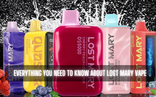 Everything You Need to Know About Lost Mary Vapes and Why They’re So Popular