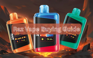 Top 3 Sites to Buy Raz Vapes Online, Tips to Avoid Counterfeits - Flying Vape