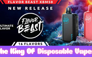 Flavor Beast The King Of Disposable Vapes