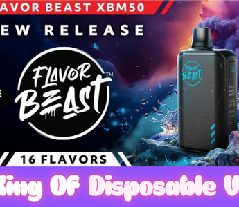 Flavor Beast The King Of Disposable Vapes