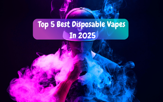 Top 5 Most Popular Disposable Vape Brands in 2025 - Flying Vape