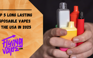 Top 5 Long Lasting Disposable Vapes in the USA In 2025 - Flying Vape