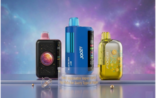 Best Disposable Vapes 2026: Top Picks for Every Type of Vaper