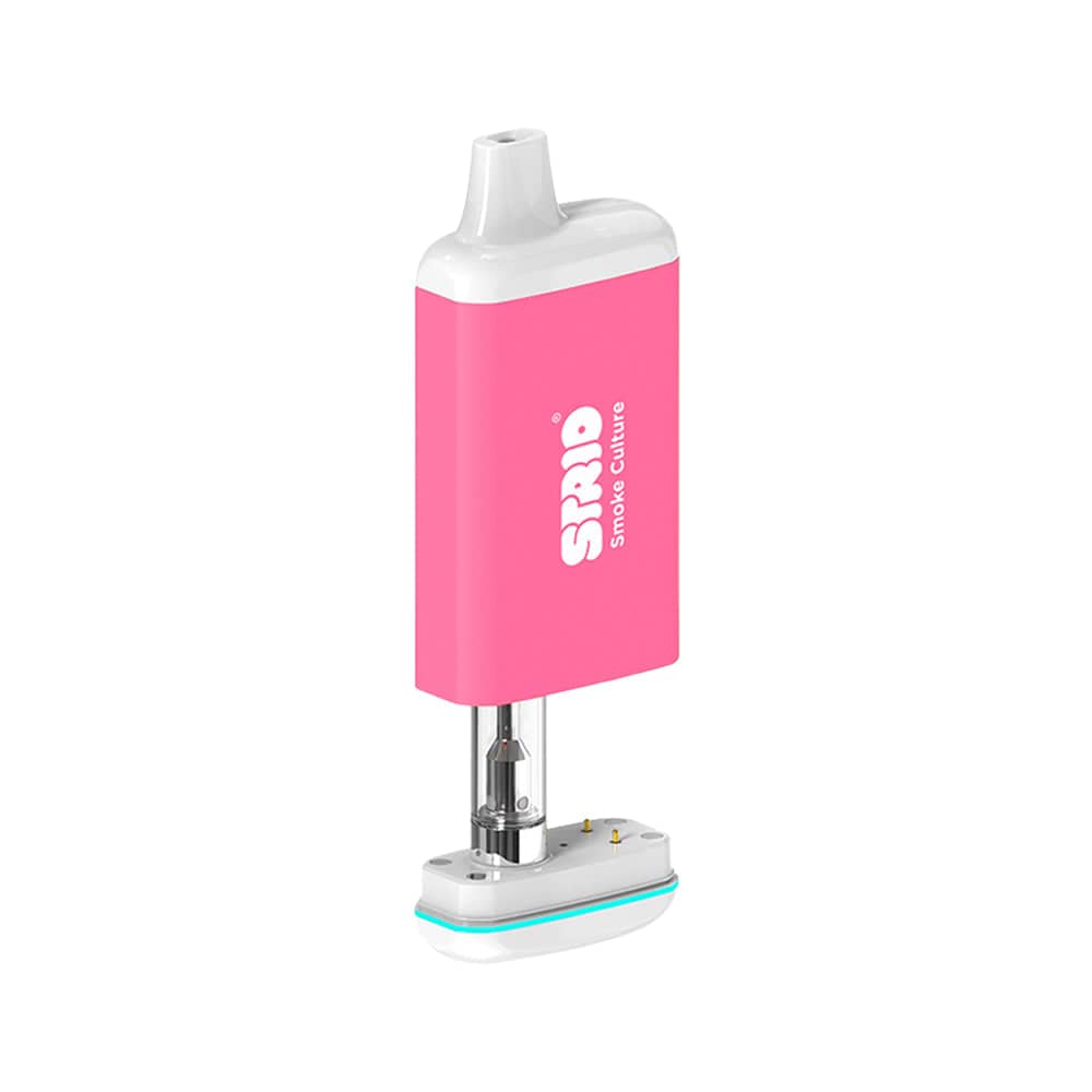 Strio CartBox Incognito Vaporizer 510 Battery | FlyingVape  FVAB