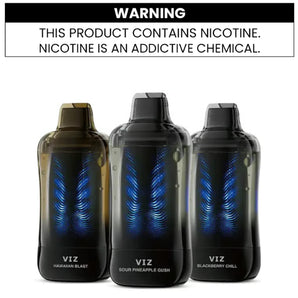 LOST MARY VIZ 55K DISPOSABLE VAPE - 55000 PUFFS